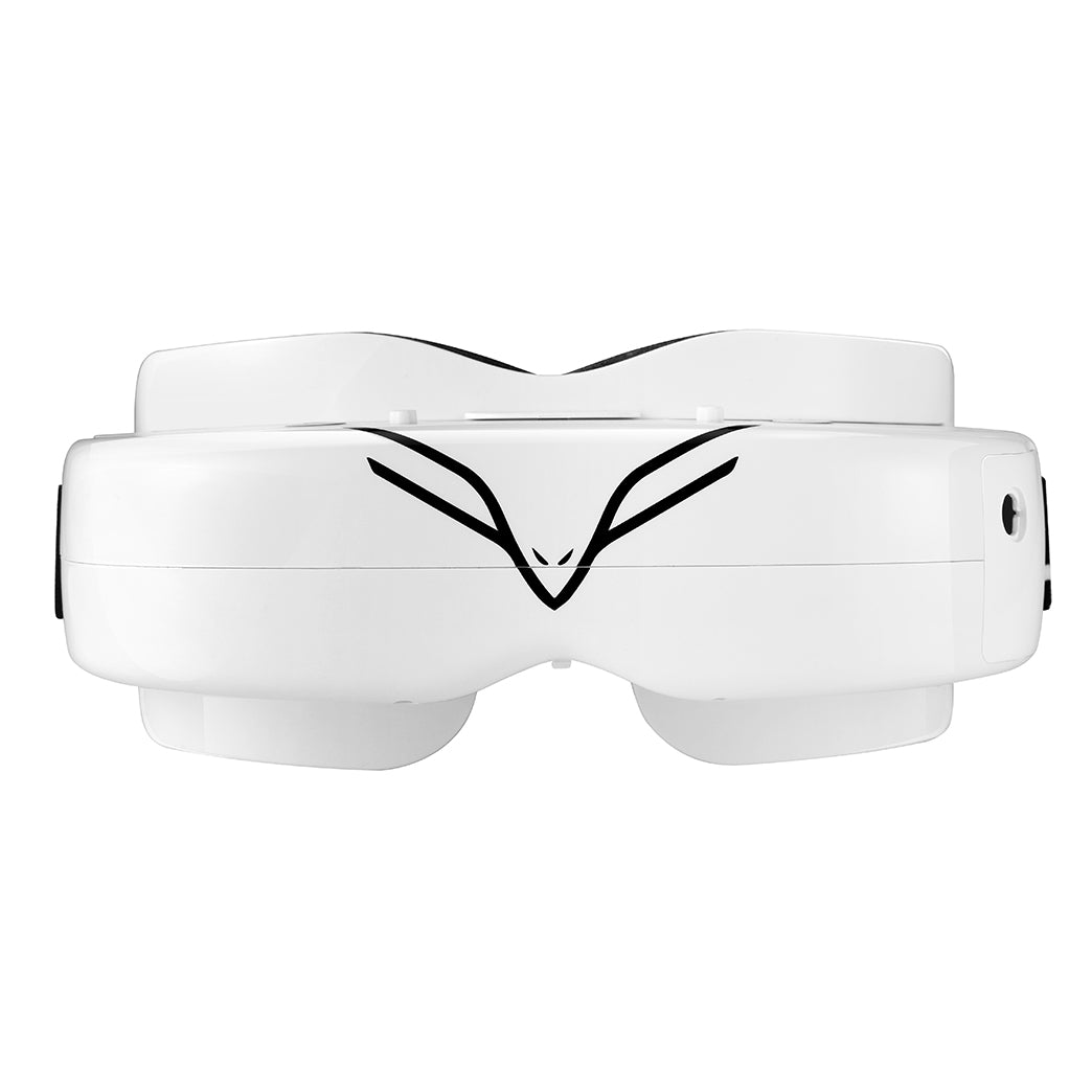 Flysight Falcon FG01 Goggles with DVR